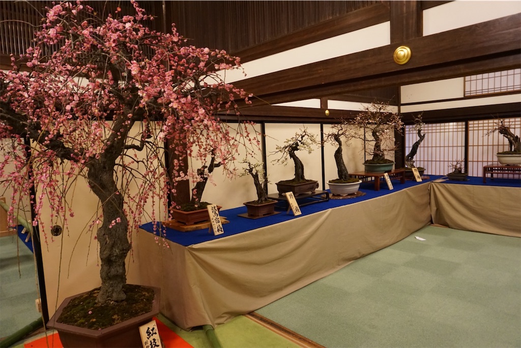 f:id:koto_oppo:20190301090131j:image