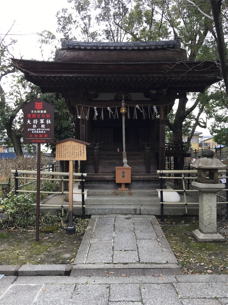 f:id:koto_oppo:20190311195550j:image