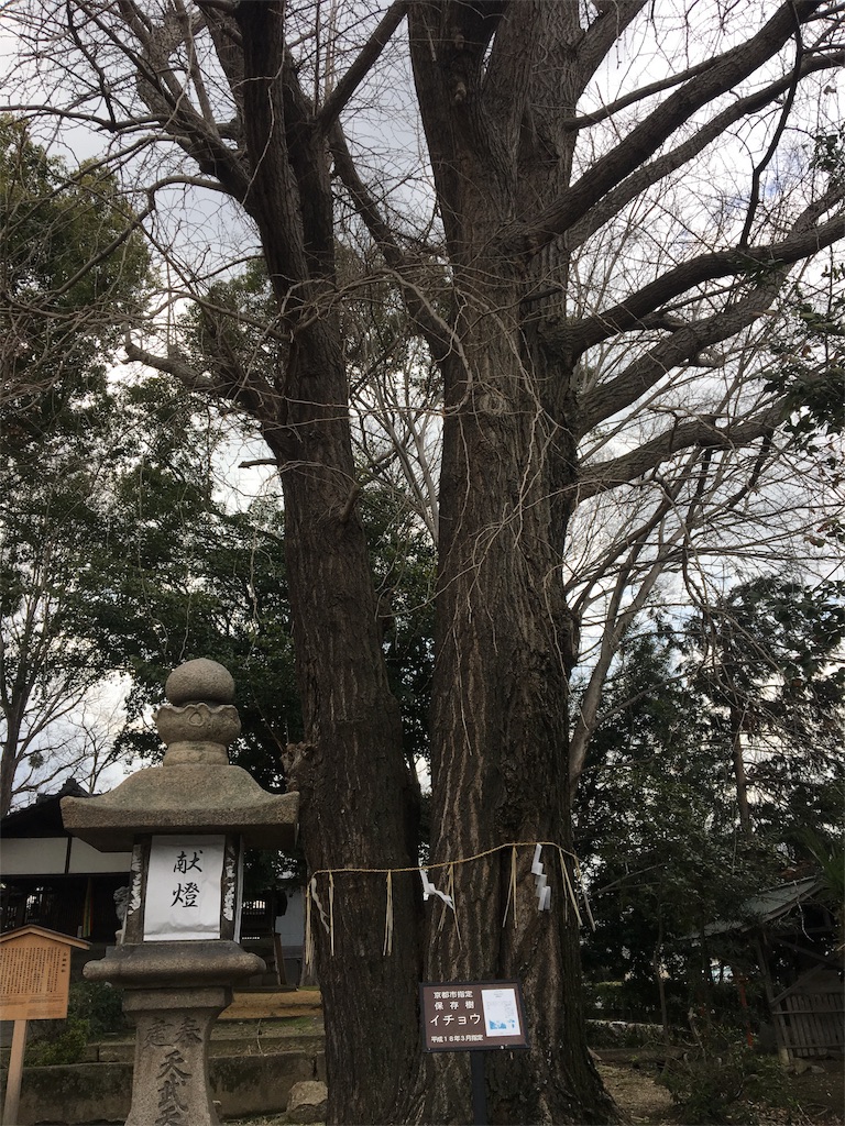 f:id:koto_oppo:20190312144732j:image f:id:koto_oppo:20190312144732j:image