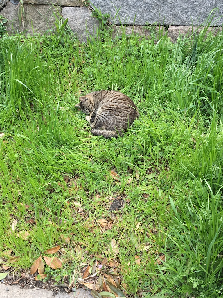 f:id:koto_oppo:20190313161517j:image f:id:koto_oppo:20190313161517j:image