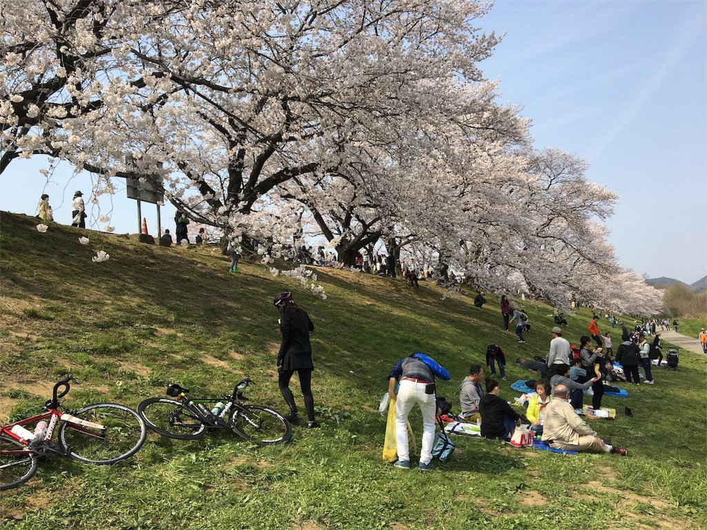 f:id:koto_oppo:20190413220007j:image f:id:koto_oppo:20190413220007j:image