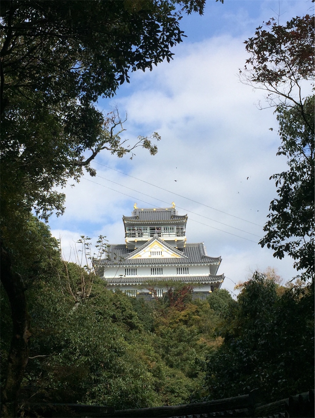 f:id:kotobuki-history:20171110224914j:image f:id:kotobuki-history:20171110224914j:image