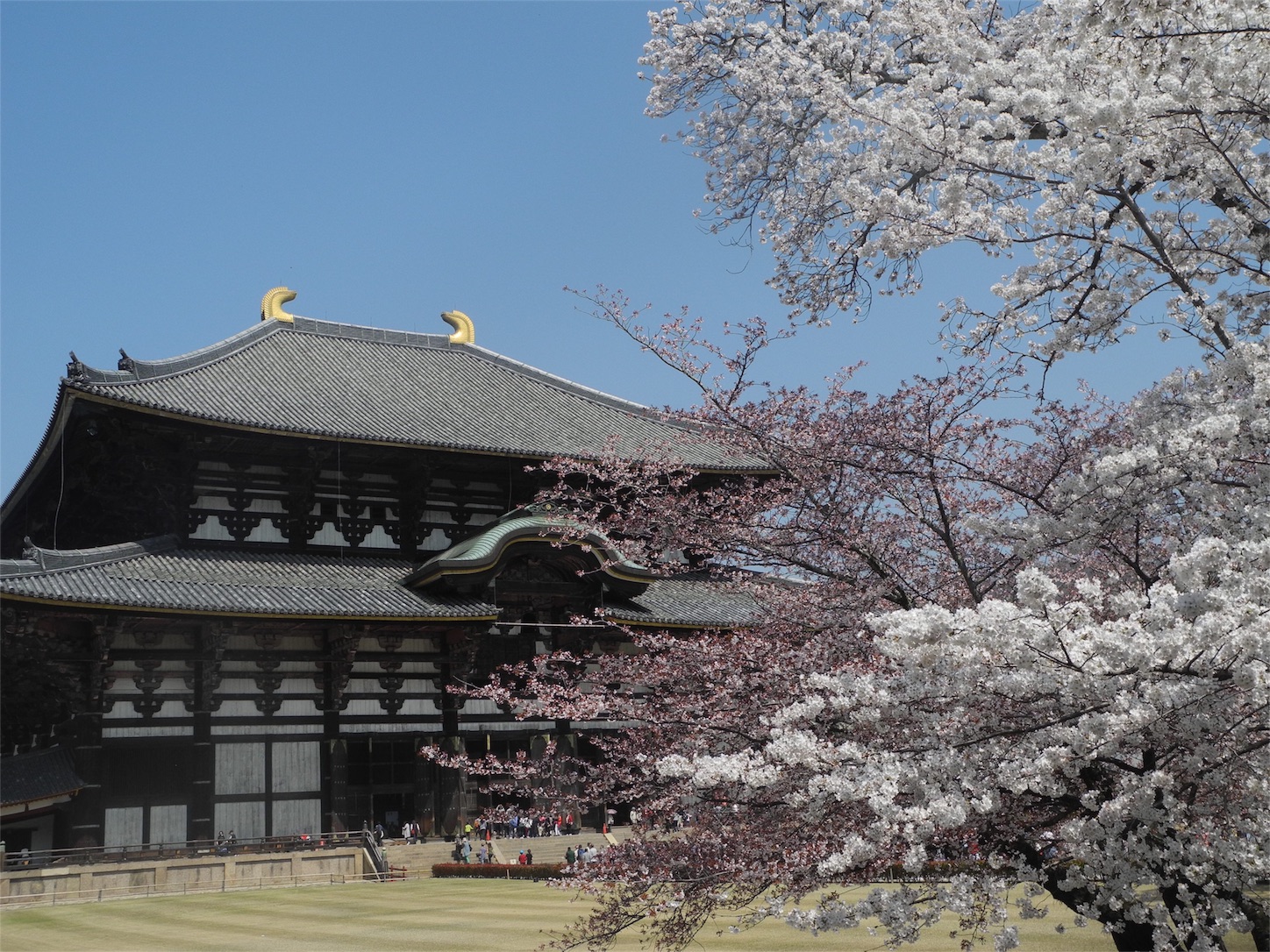 f:id:kotobuki-history:20180329222107j:image f:id:kotobuki-history:20180329222107j:image