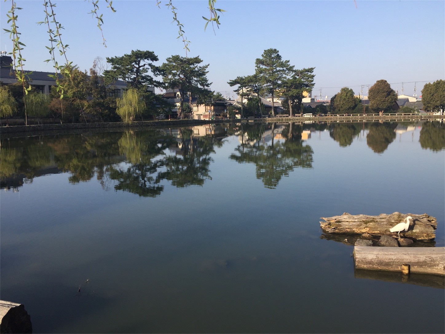 f:id:kotobuki-history:20180329223606j:image f:id:kotobuki-history:20180329223606j:image