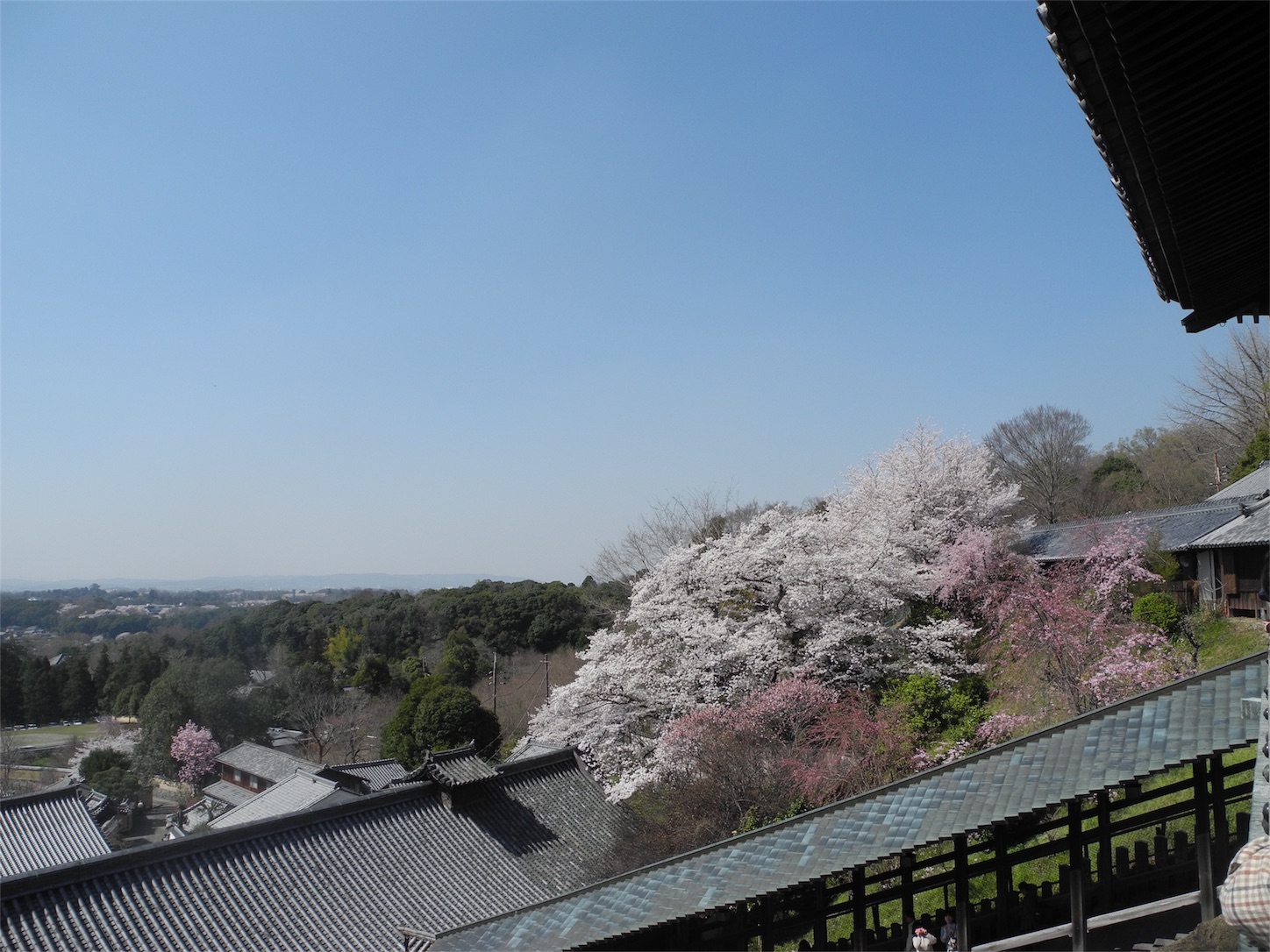 f:id:kotobuki-history:20180330025700j:image f:id:kotobuki-history:20180330025700j:image