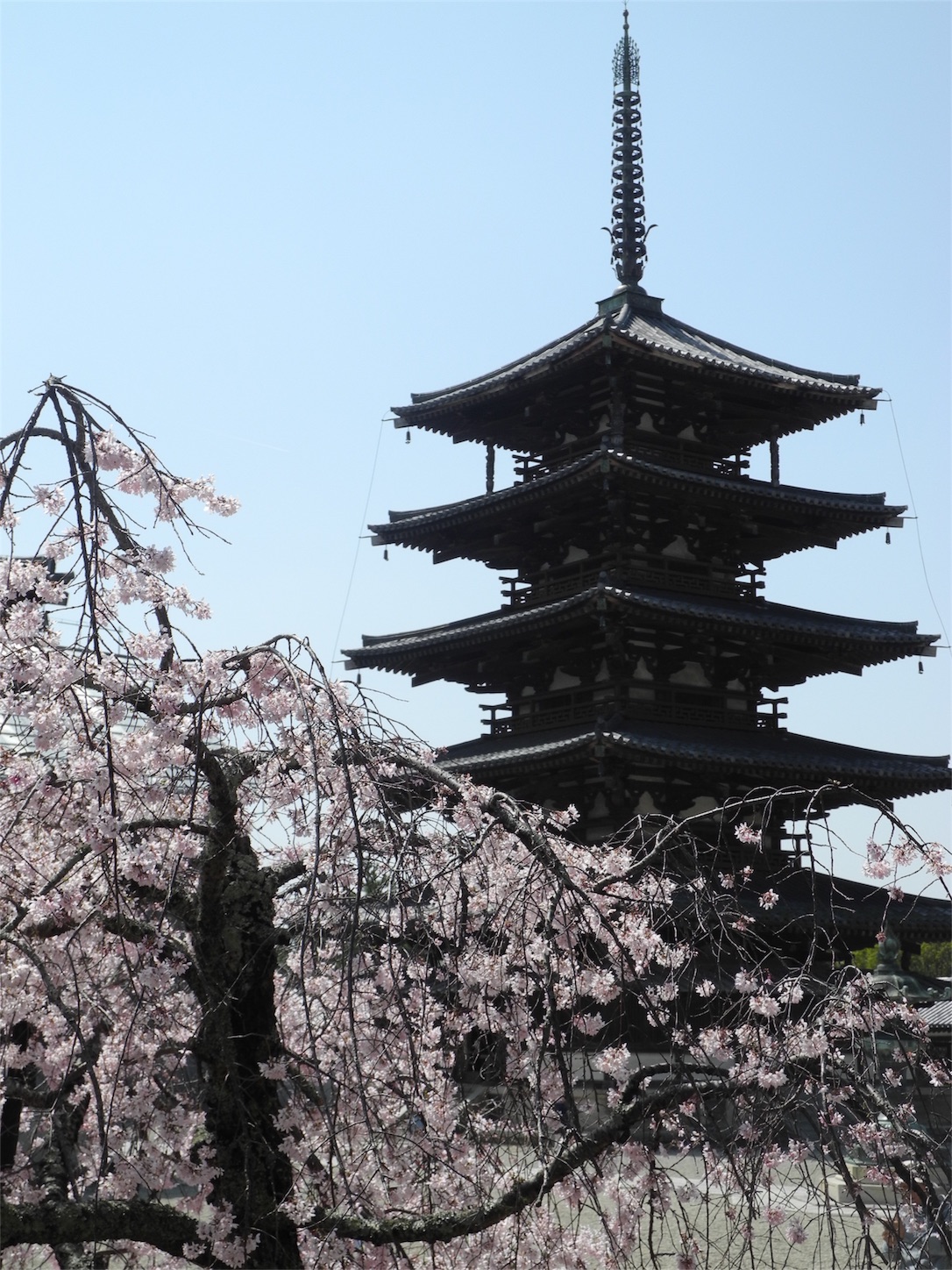 f:id:kotobuki-history:20180409075906j:image f:id:kotobuki-history:20180409075906j:image