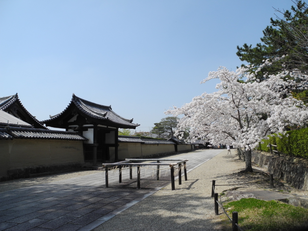f:id:kotobuki-history:20180410231711j:plain f:id:kotobuki-history:20180410231711j:plain