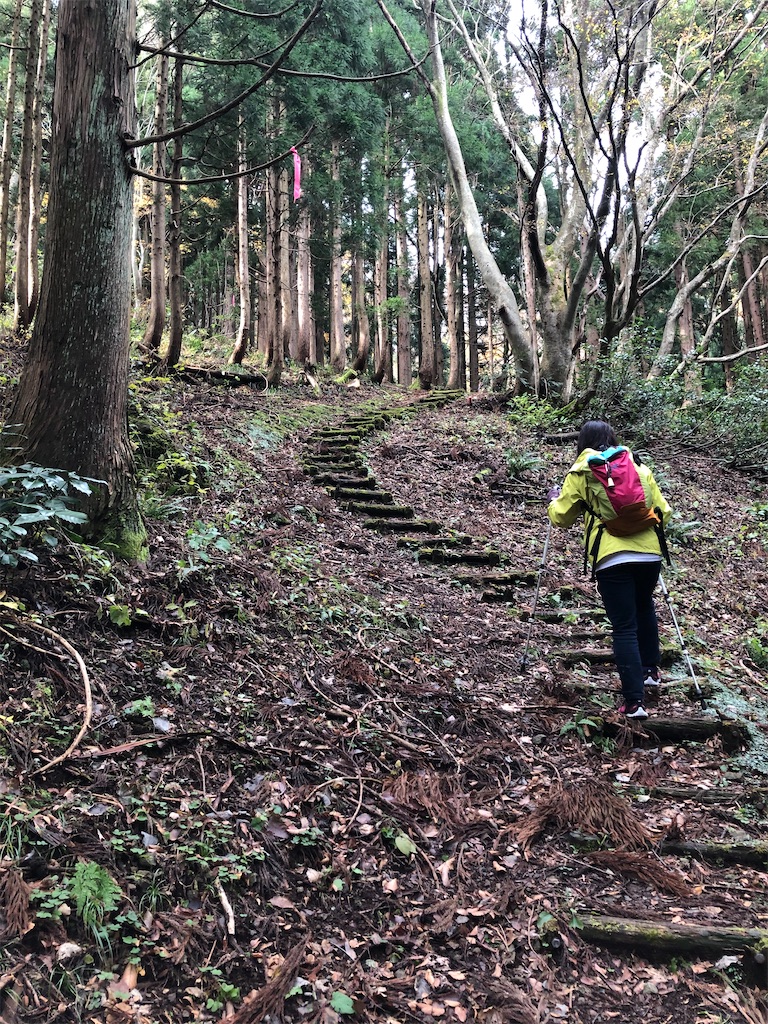f:id:kotobuki_matsu:20191215103453j:image