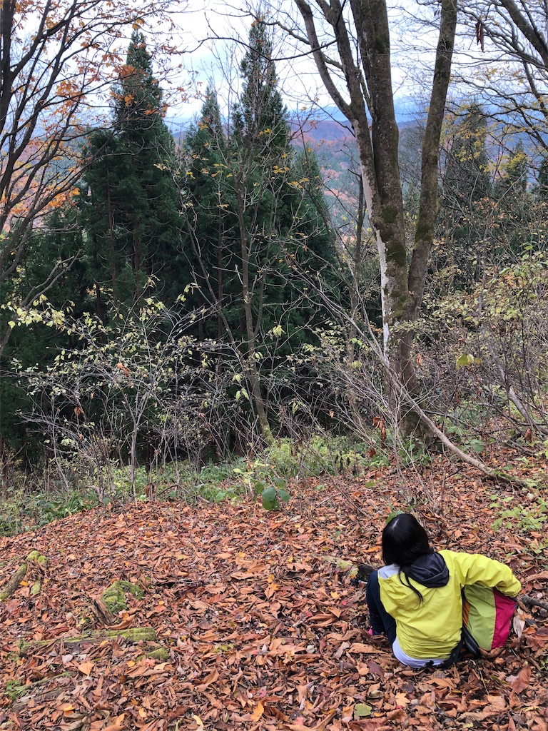f:id:kotobuki_matsu:20191215104321j:image