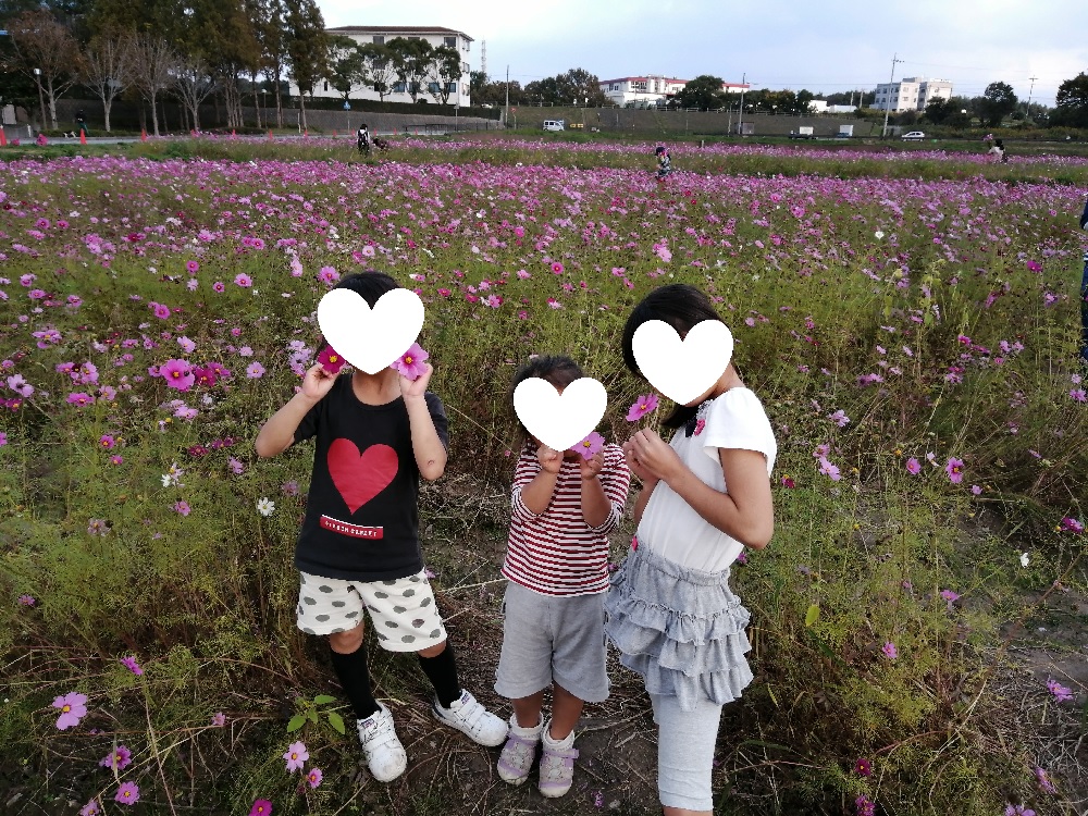 f:id:kotobukimugen:20210608055143j:plain