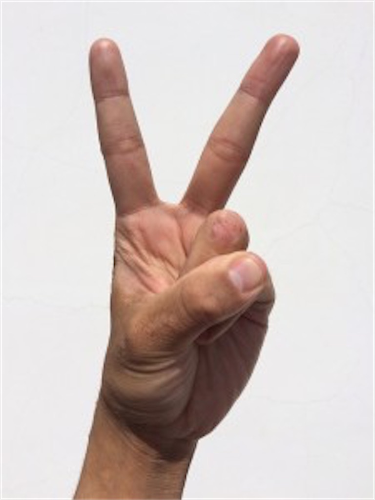 f:id:kotocham:20200907085546j:image f:id:kotocham:20200907085546j:image