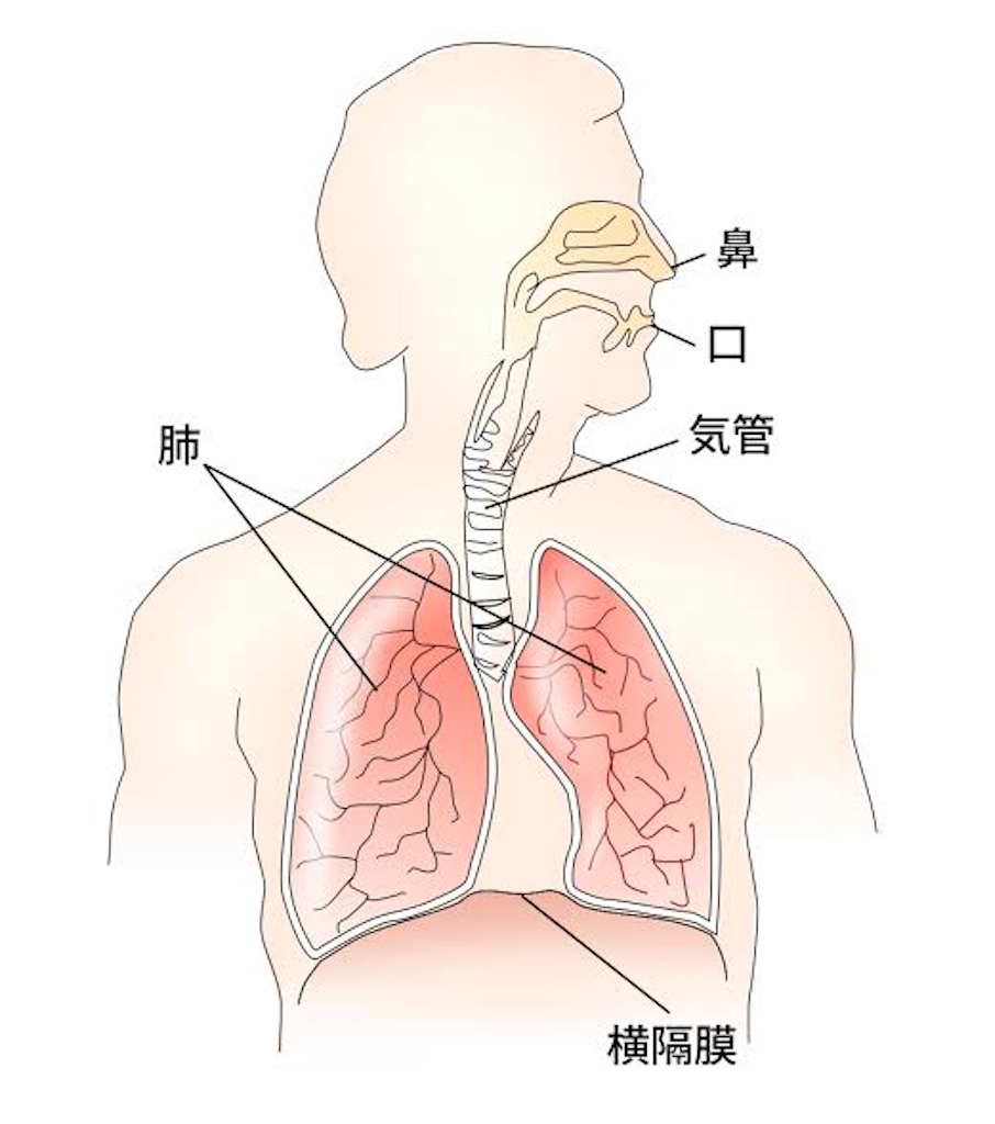 f:id:kotocham:20200916195321j:image f:id:kotocham:20200916195321j:image