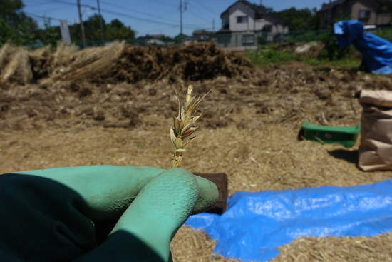 f:id:kotofune:20190617125557j:plain f:id:kotofune:20190617125557j:plain