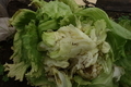 20190721160538