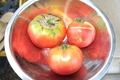 20190816184317