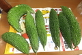 20190818113216