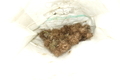 20190821161622