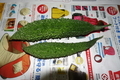 20190903122515