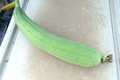 20190907180952