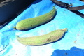 20190910132447