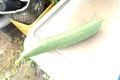 20190915171909