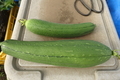 20190920155715