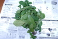 20190921181820