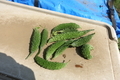 20191002122623