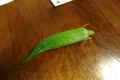 20191008192903