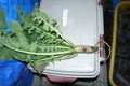 20191021172536