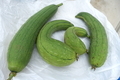 20191024165423