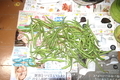 20191024173809