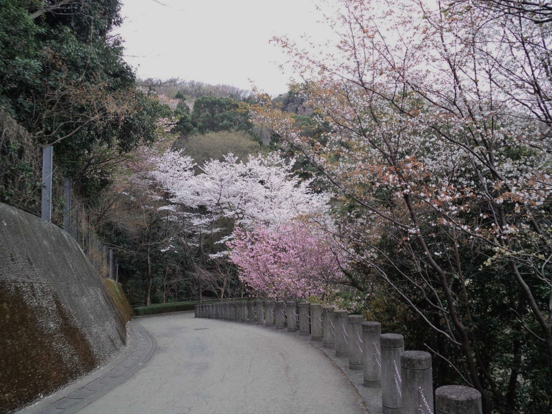 f:id:kotoga510:20130330075231j:image:w360