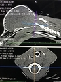 20250519154102