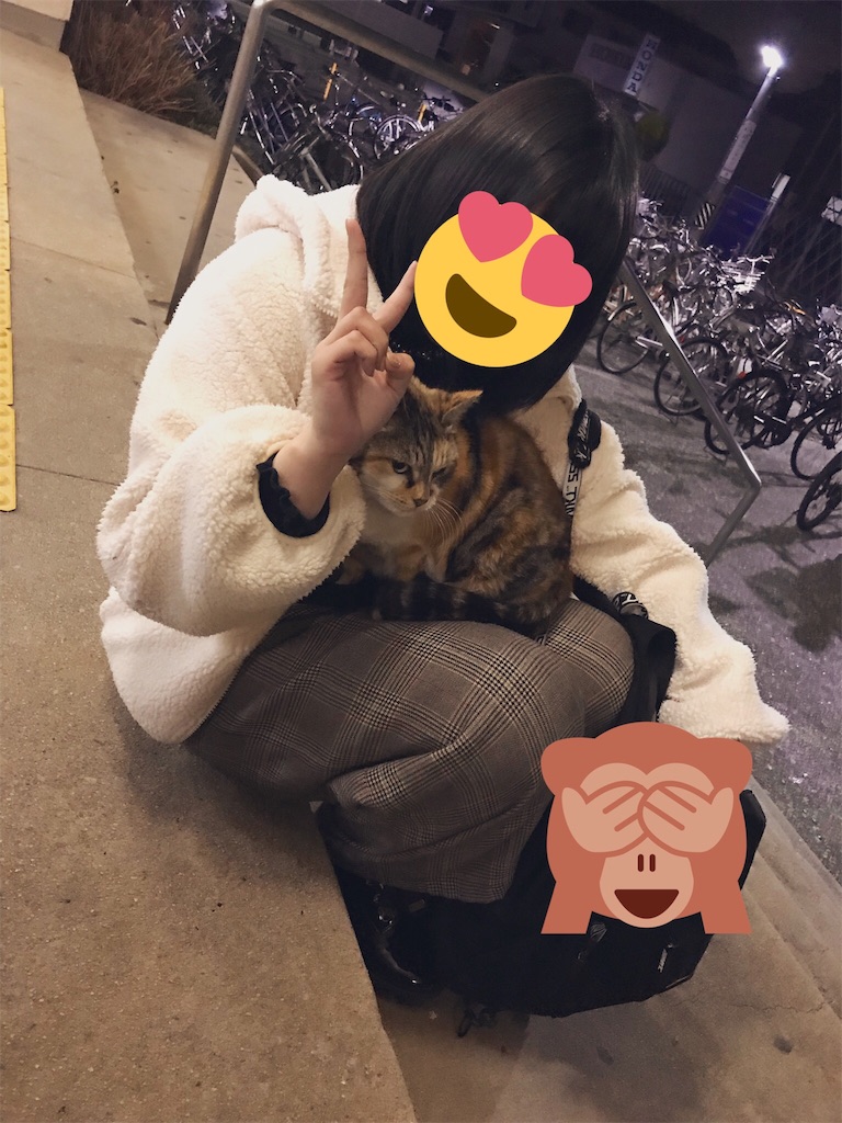f:id:kotohadayo:20190228121920j:image