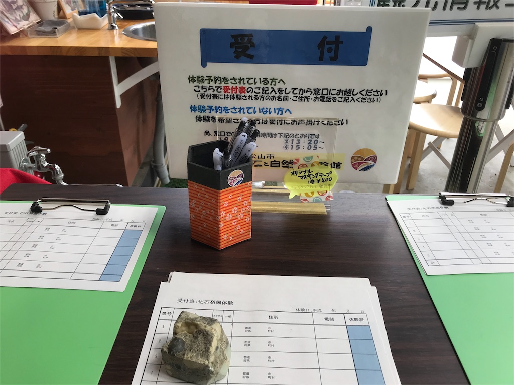 f:id:kotokoizumi:20190423231212j:image f:id:kotokoizumi:20190423231212j:image
