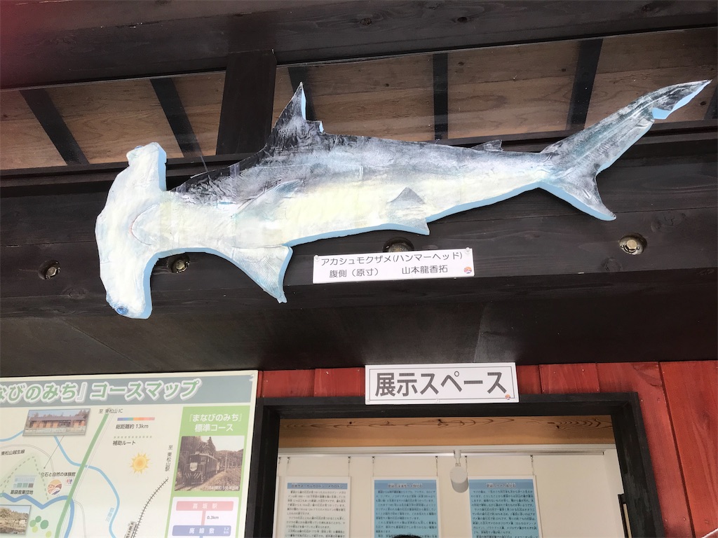 f:id:kotokoizumi:20190423231308j:image f:id:kotokoizumi:20190423231308j:image