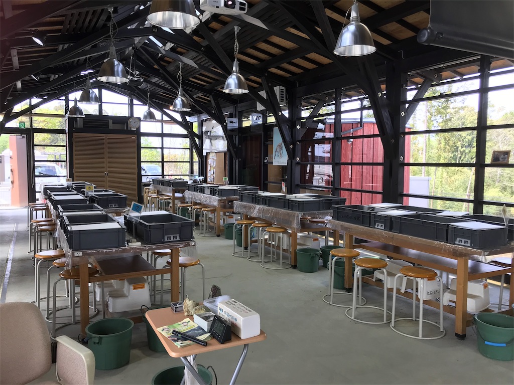 f:id:kotokoizumi:20190423234317j:image f:id:kotokoizumi:20190423234317j:image