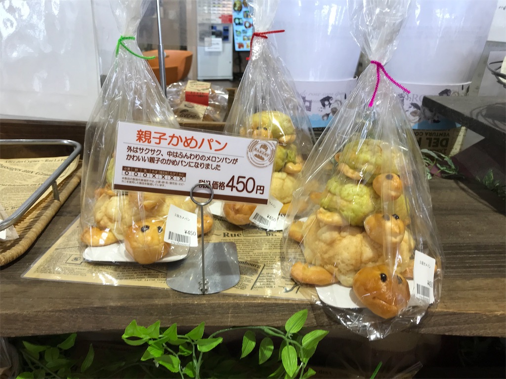 f:id:kotokoizumi:20190425203122j:image f:id:kotokoizumi:20190425203122j:image