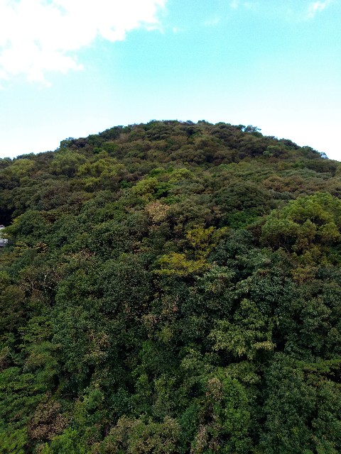 f:id:kotokotoba:20191004122935j:image f:id:kotokotoba:20191004122935j:image