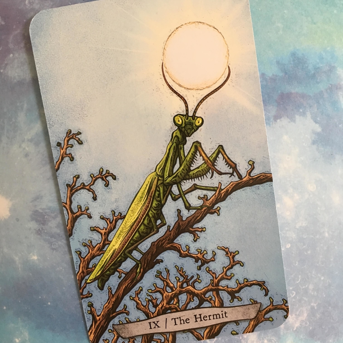 f:id:kotokotoba:20200514114331j:plain f:id:kotokotoba:20200514114331j:plain