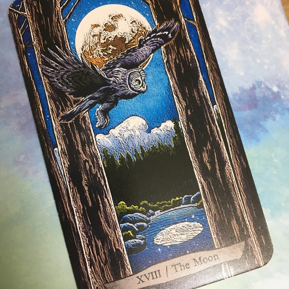 f:id:kotokotoba:20200514114438j:plain f:id:kotokotoba:20200514114438j:plain