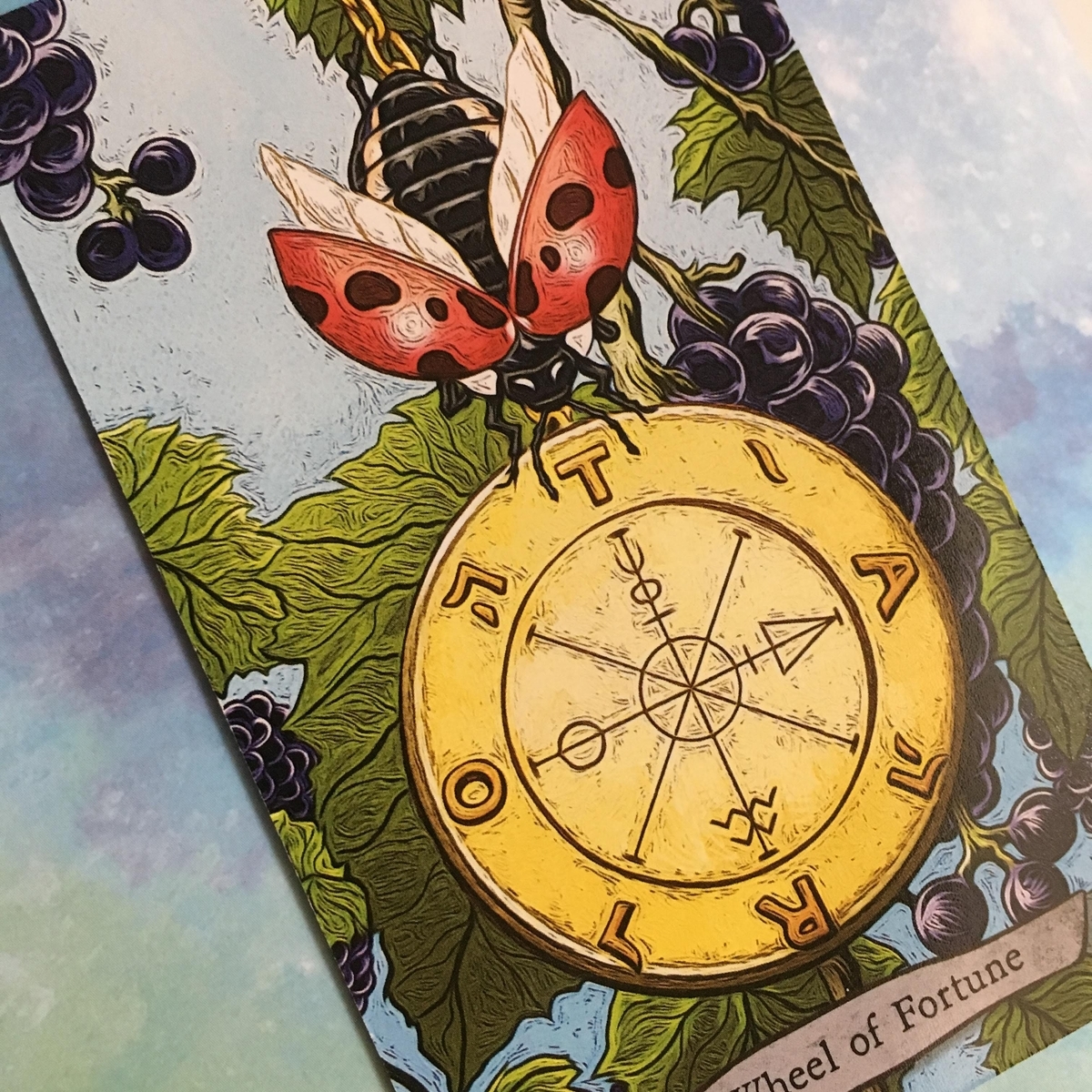 f:id:kotokotoba:20200514114511j:plain f:id:kotokotoba:20200514114511j:plain