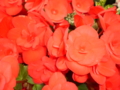 20100401033116