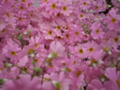 20100401033212