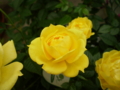 20100401034128