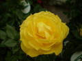 20100401034209