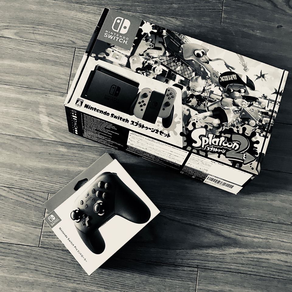 ニンテンドースイッチとスプラ2を売った理由 孤毒の果て