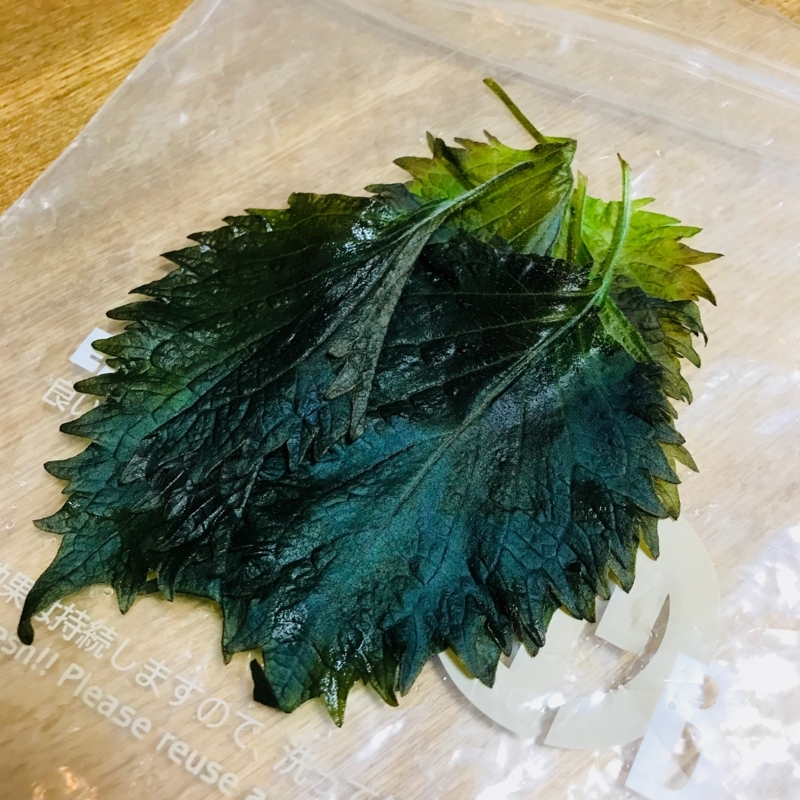f:id:kotokunohate:20180211124029j:plain