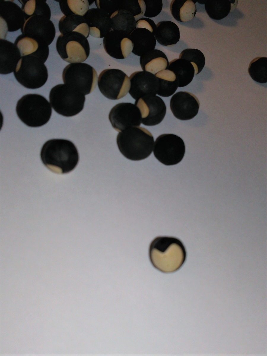 f:id:kotoleaf:20201126093310j:plain